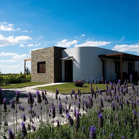 Pizzorno Lodge & Wine Progreso Bagian luar foto
