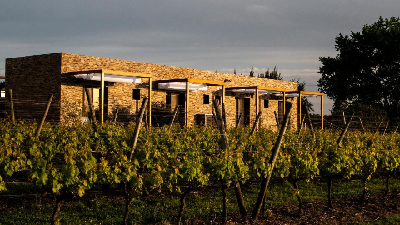 Pizzorno Lodge & Wine Progreso Bagian luar foto
