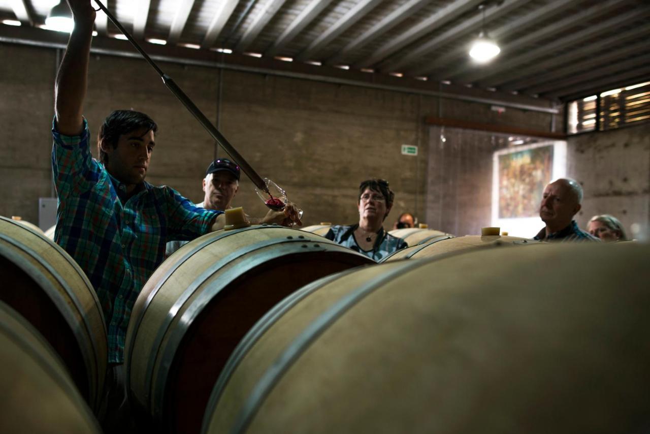 Pizzorno Lodge & Wine Progreso Bagian luar foto