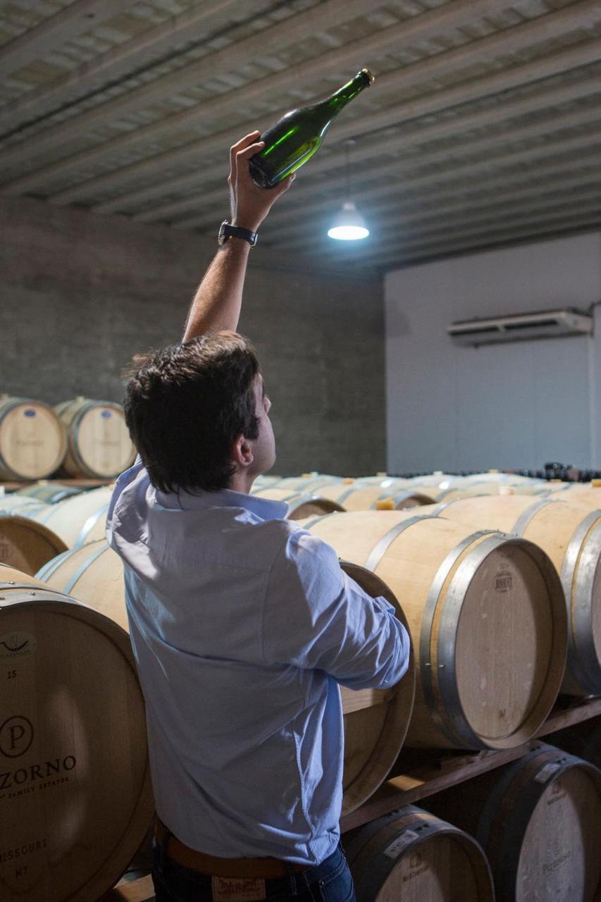 Pizzorno Lodge & Wine Progreso Bagian luar foto