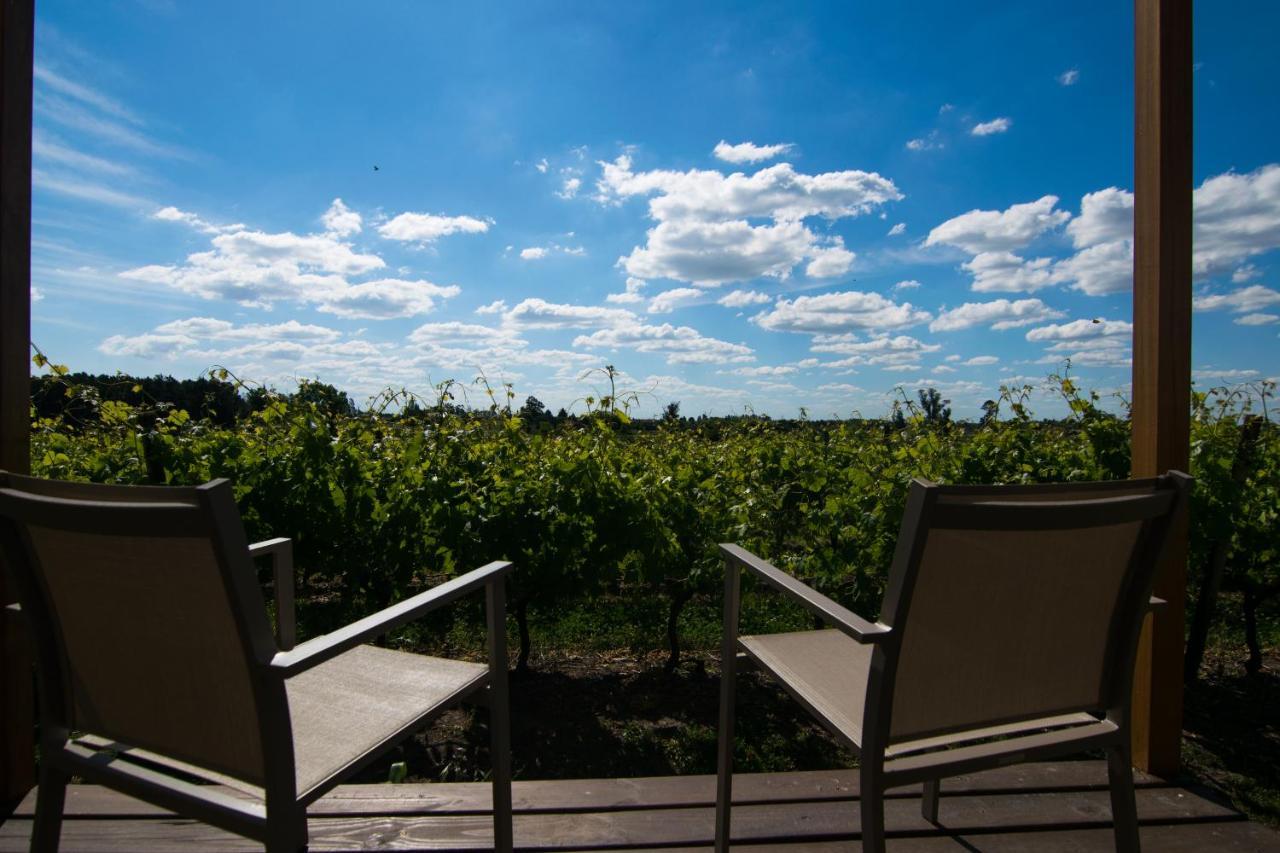 Pizzorno Lodge & Wine Progreso Bagian luar foto