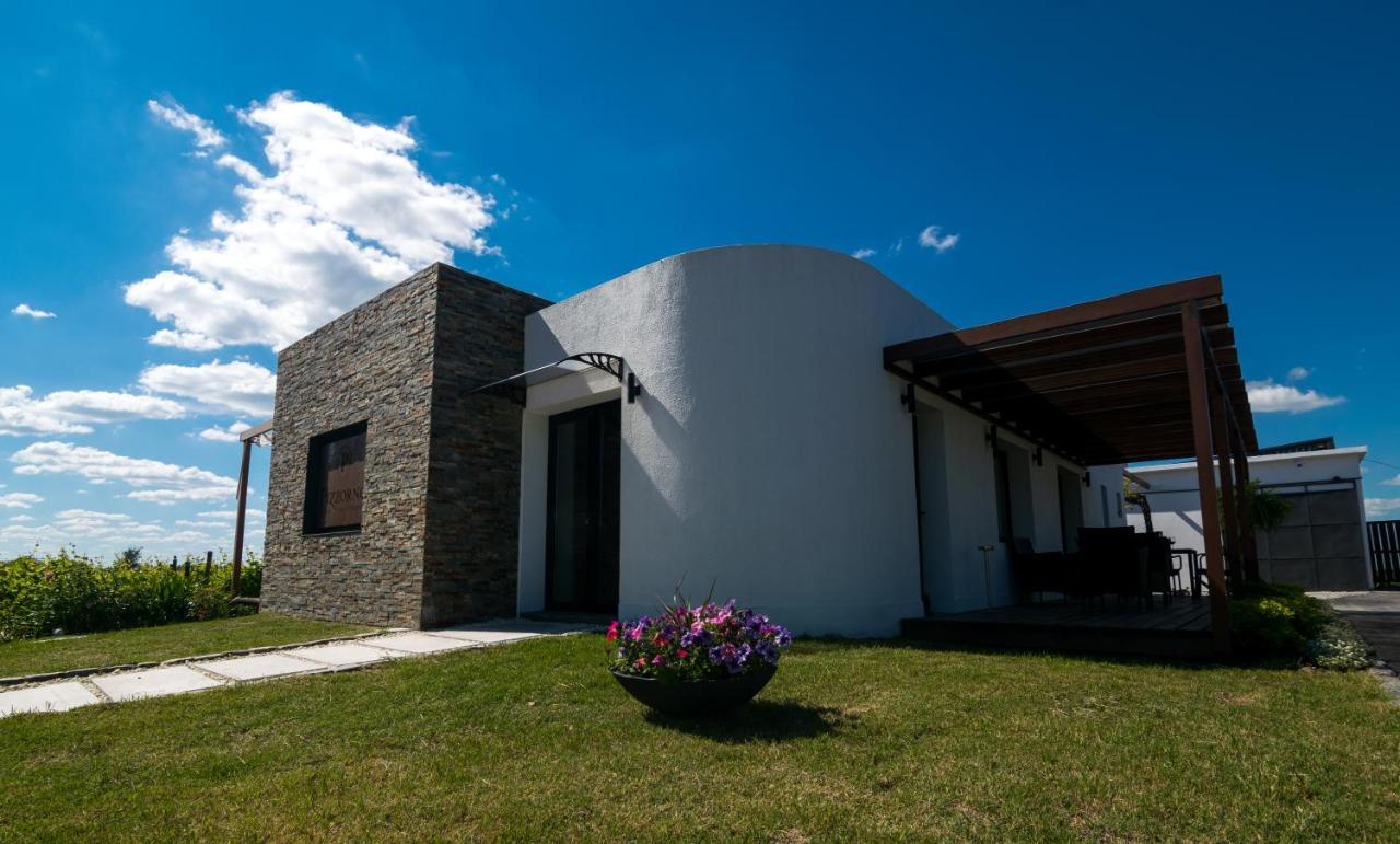 Pizzorno Lodge & Wine Progreso Bagian luar foto