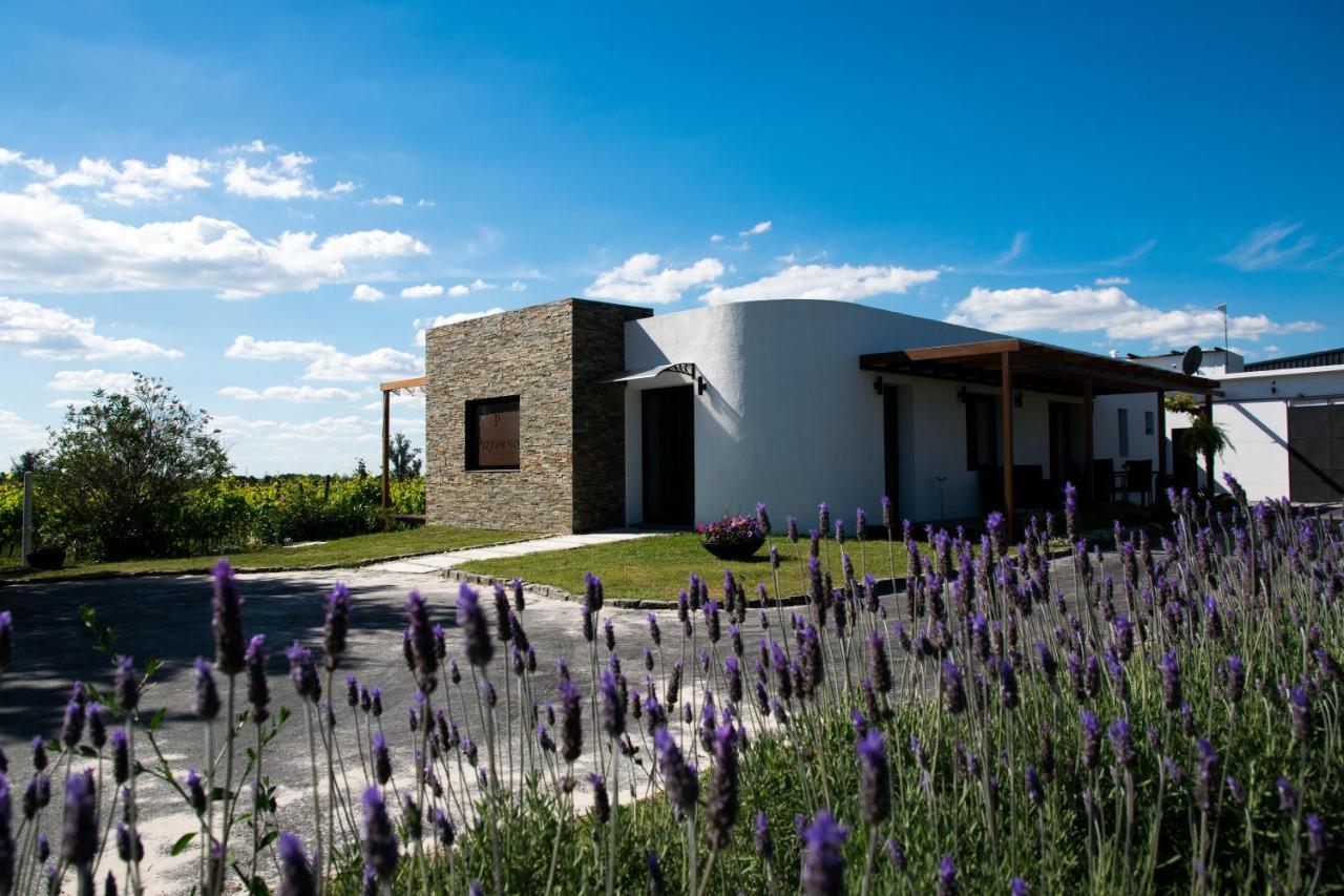 Pizzorno Lodge & Wine Progreso Bagian luar foto